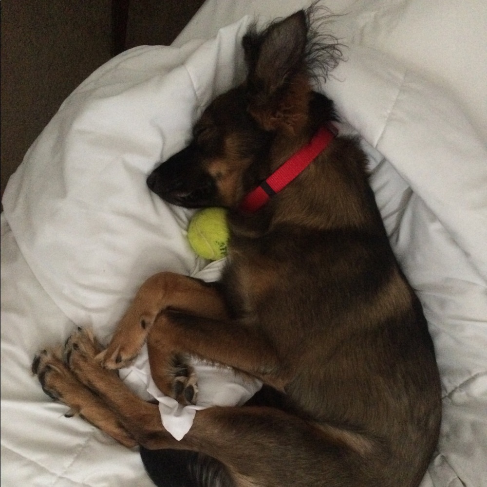 Meet your Posher, Kaly